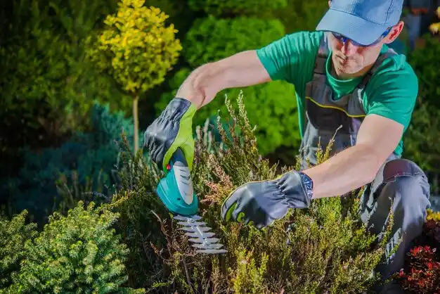 landscaping services Pioneer